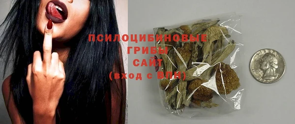 шишки Аркадак