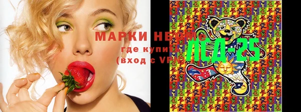 PSILOCYBIN Балахна