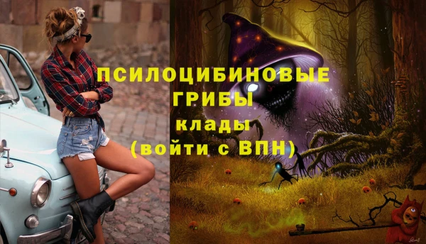 соль курить ск Балабаново