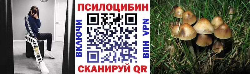 Псилоцибиновые грибы Magic Shrooms  где купить наркотик  blacksprut tor  Отрадный 